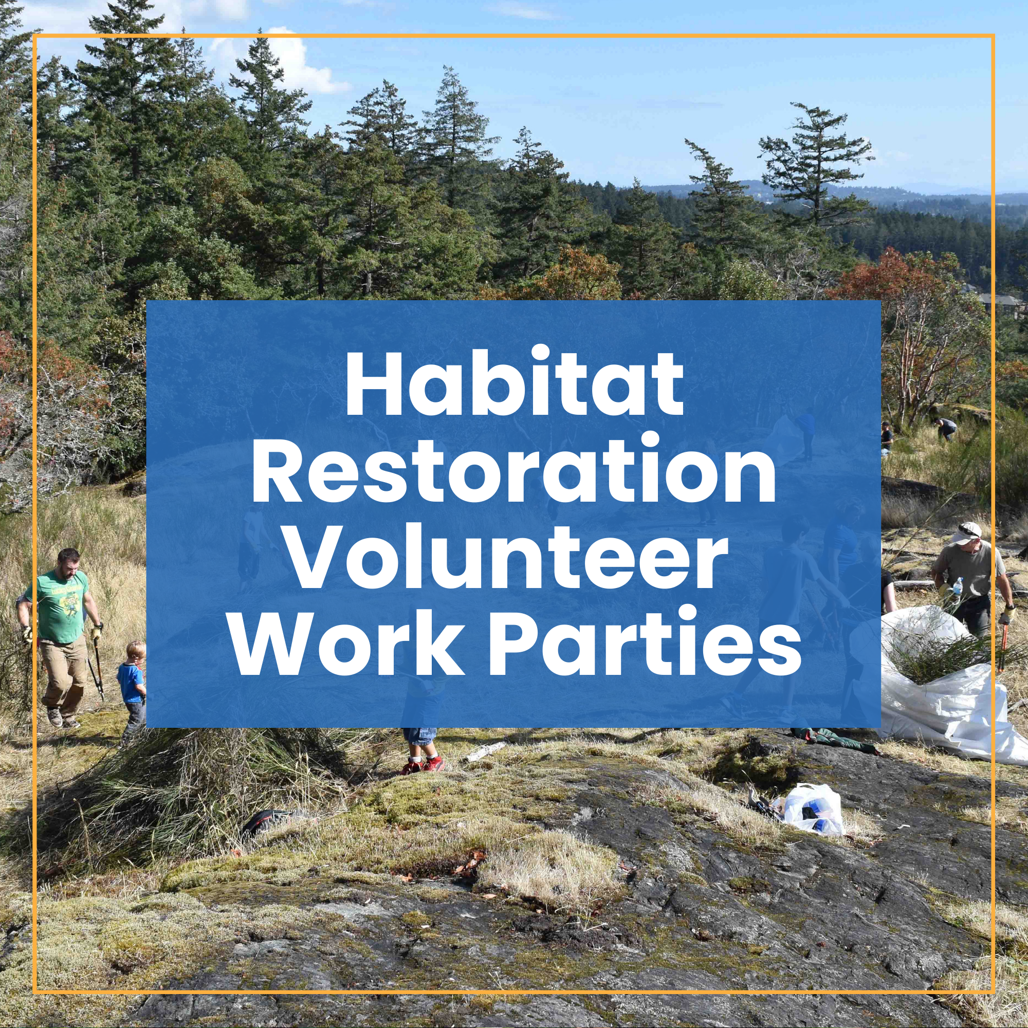 Beautiful view of Penthouse-View Apartments With Secure Trash Disposal